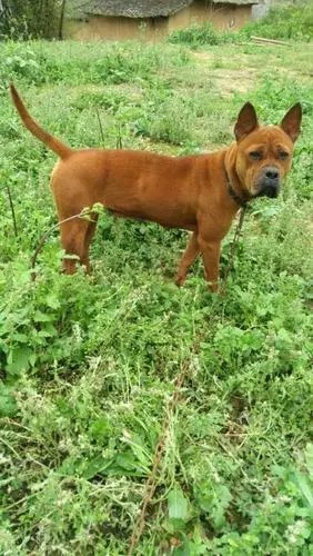 fb9705bc85deafd66eba85f70cec0b9b_u=613631511,1798907312&fm=253&fmt=auto&app=138&f=JPEG_w=282&h=500 fb9705bc85deafd66eba85f70cec0b9b_u=613631511,1798907312&fm=253&fmt=auto&app=138&f=JPEG_w=282&h=500