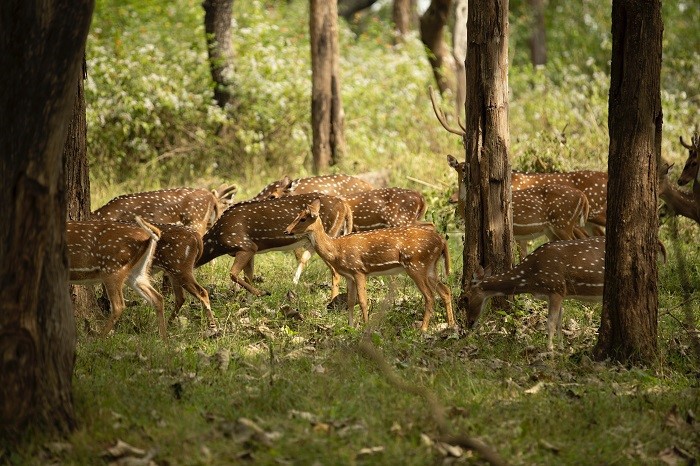 pexels-niyas-abdul-khadar-17162120 1 pexels-niyas-abdul-khadar-17162120 1