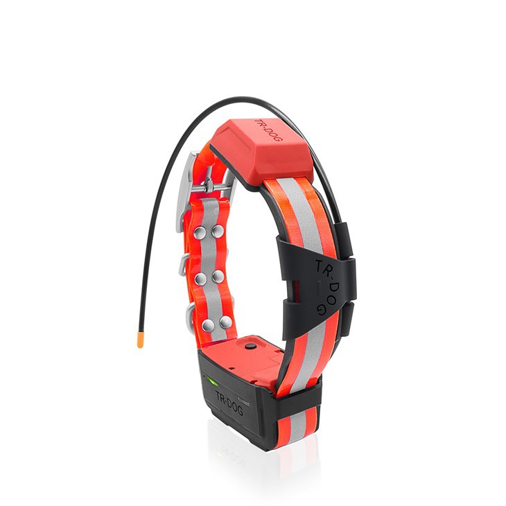 TR-Dog® R60 it yoqa qurilmasi